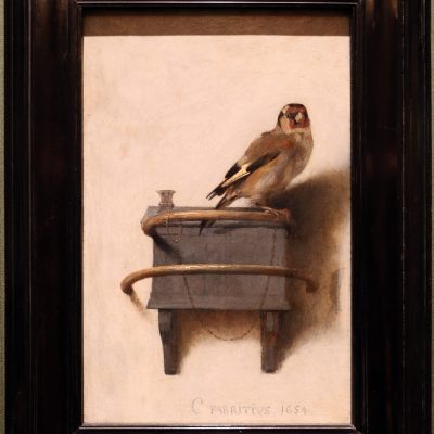 Fabritius - Il cardellino