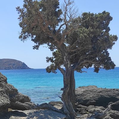 Uno scorcio della spiaggia di Kedrodasos