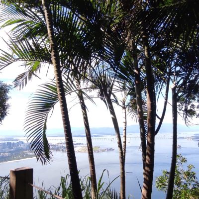 foresta tropicale