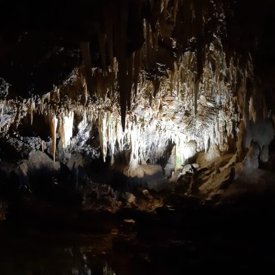 Le stalattiti illuminate